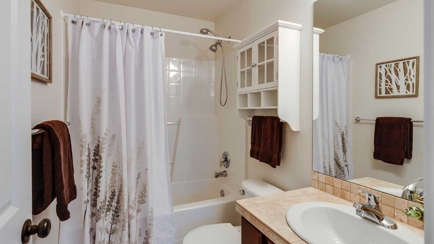 Some Practical Tips to Prevent Mold in Bathroom