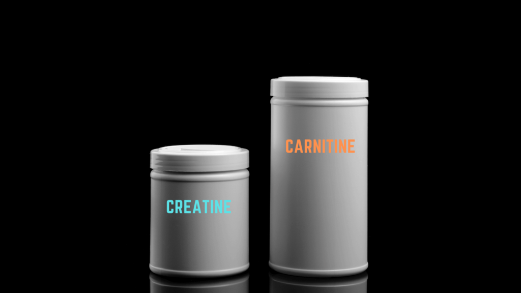 best carnitine & creatine
