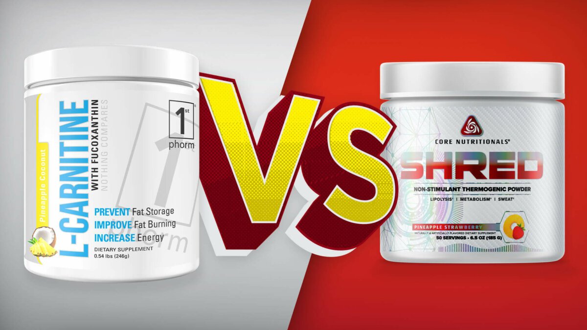 Carnitine vs Creatine: How They Affect Your Energy and Metabolism