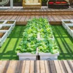 Small-Space-Gardening-Strategies-Using-Square-Foot-Beds-on-lightningidea